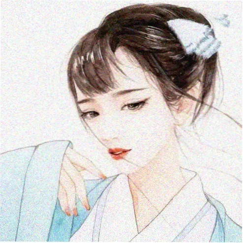 影迷山雀与雪头像
